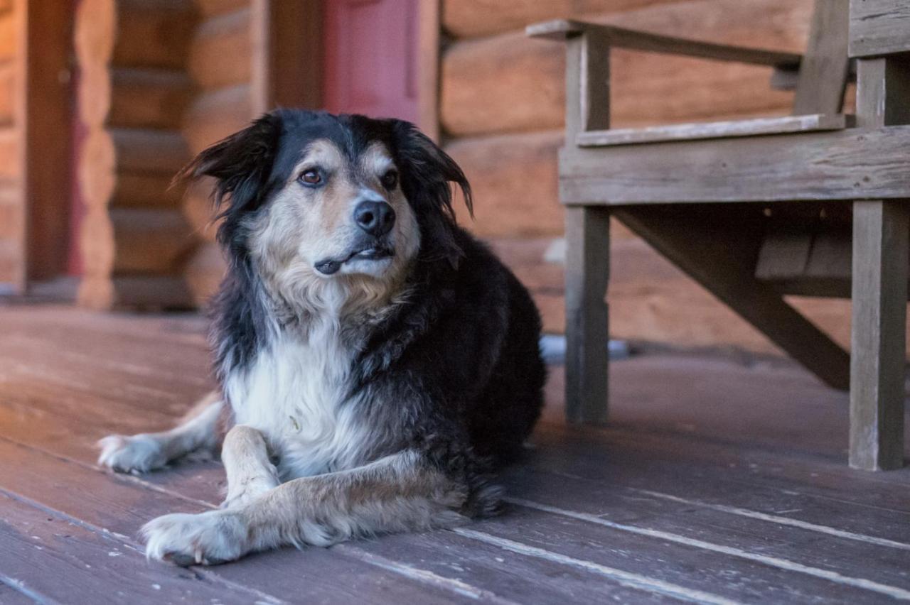 Wells Gray Guest Ranch Hotell Clearwater Eksteriør bilde