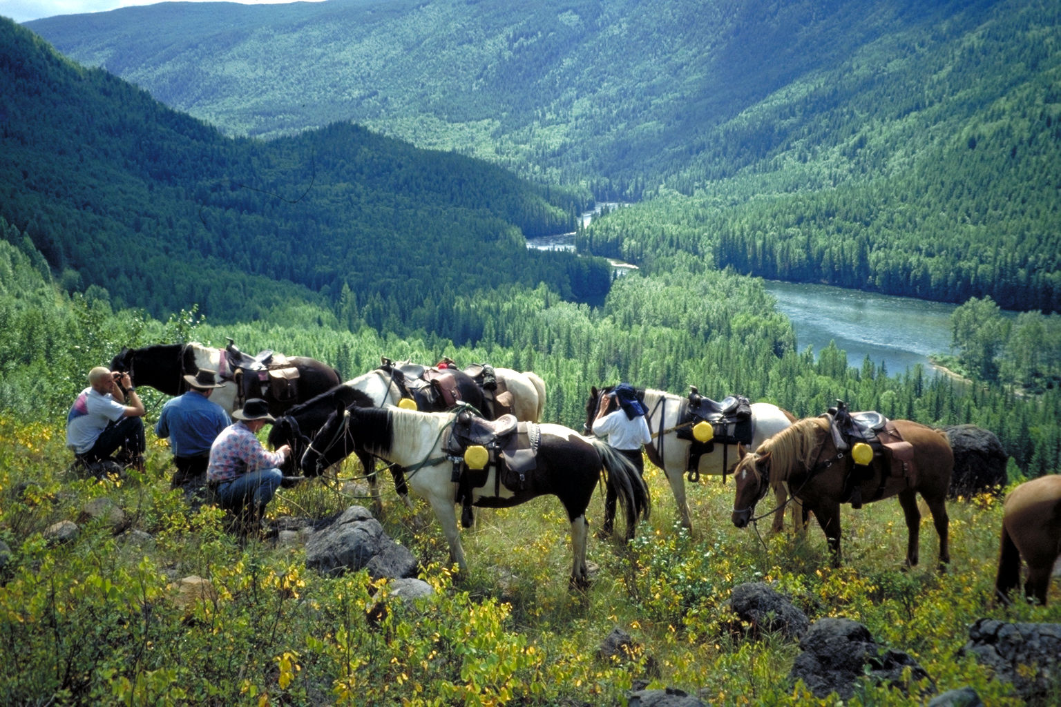 Wells Gray Guest Ranch Hotell Clearwater Eksteriør bilde