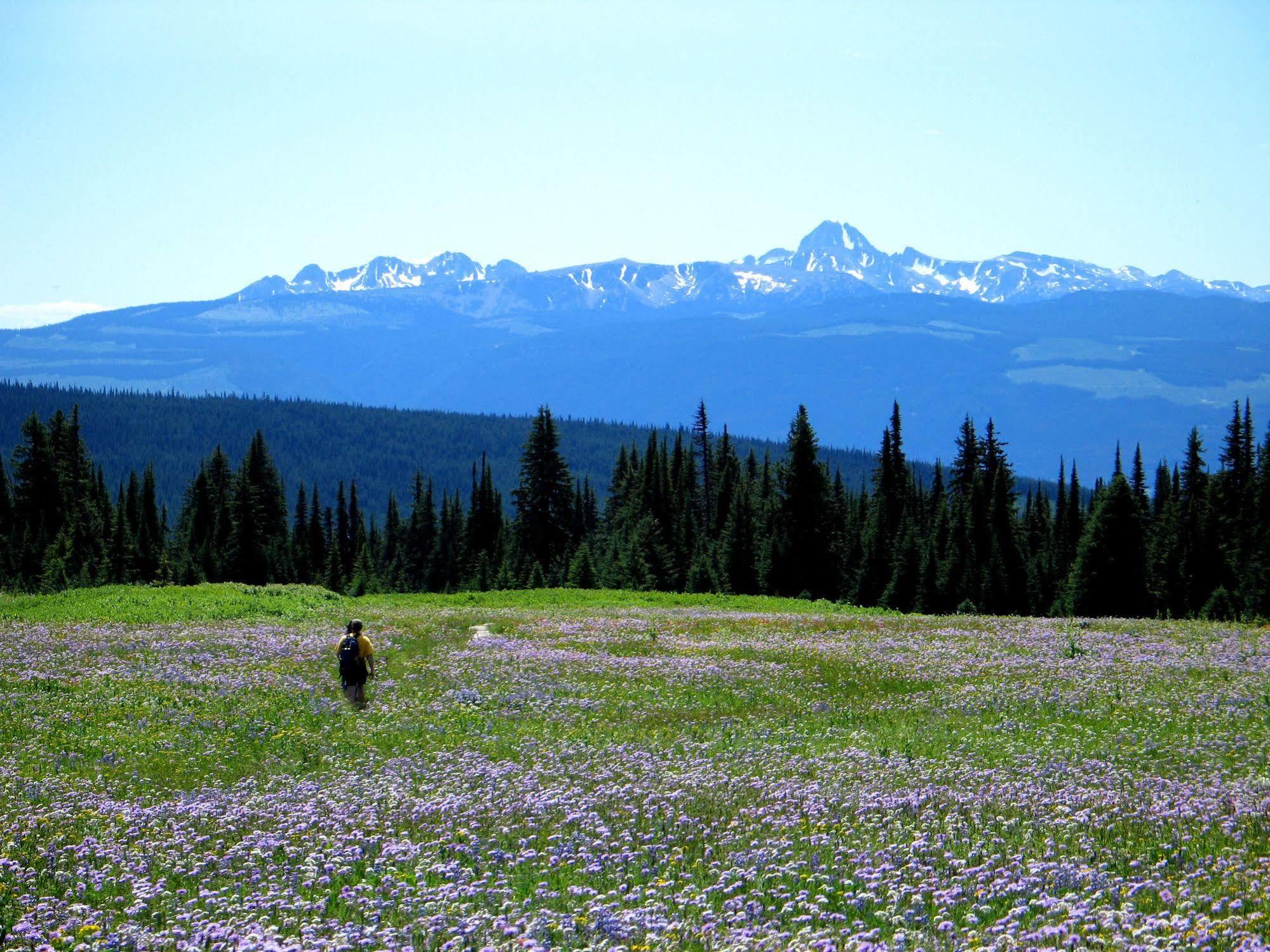 Wells Gray Guest Ranch Hotell Clearwater Eksteriør bilde